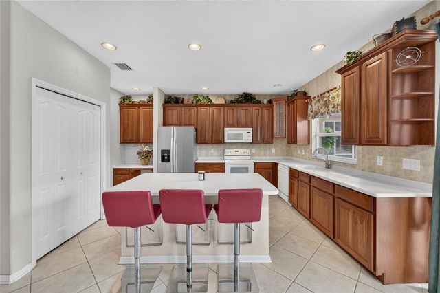 19128 MEADOW PINE DRIVE, Tampa, FL 33647