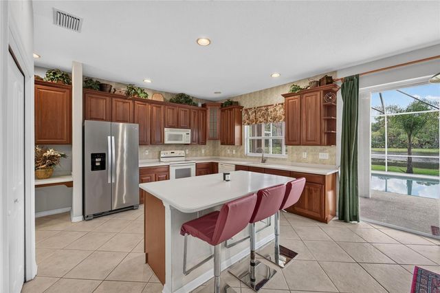 19128 MEADOW PINE DRIVE, Tampa, FL 33647
