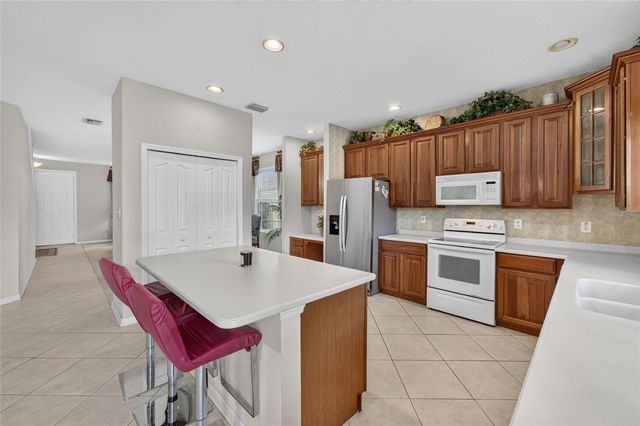 19128 MEADOW PINE DRIVE, Tampa, FL 33647