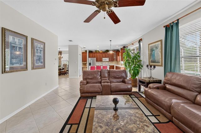 19128 MEADOW PINE DRIVE, Tampa, FL 33647