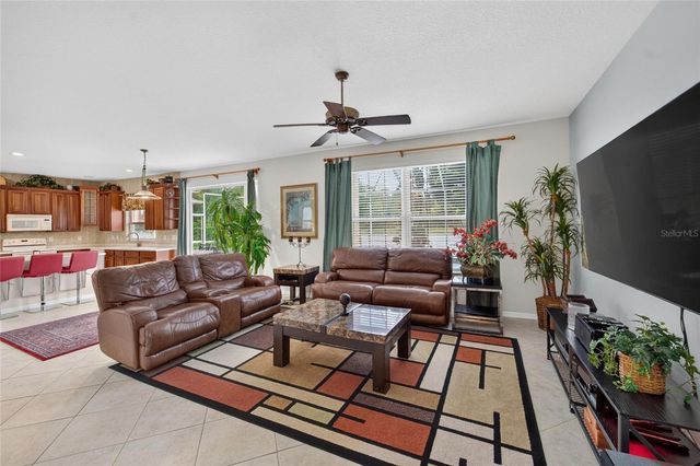 19128 MEADOW PINE DRIVE, Tampa, FL 33647