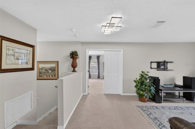 19128 MEADOW PINE DRIVE, Tampa, FL 33647