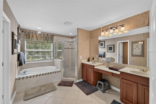 19128 MEADOW PINE DRIVE, Tampa, FL 33647