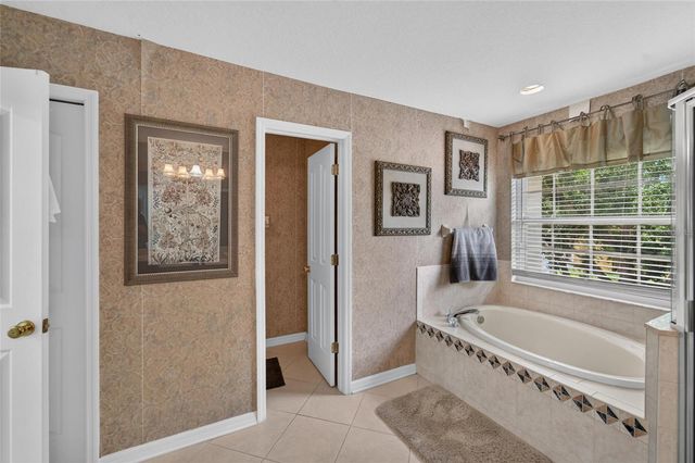19128 MEADOW PINE DRIVE, Tampa, FL 33647