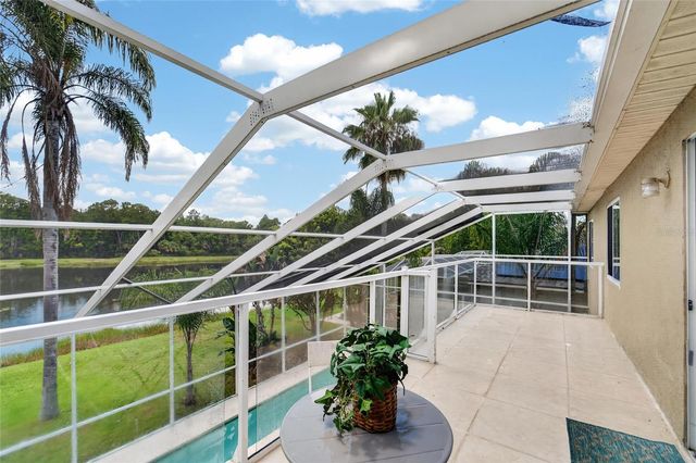 19128 MEADOW PINE DRIVE, Tampa, FL 33647