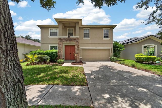19128 MEADOW PINE DRIVE, Tampa, FL 33647
