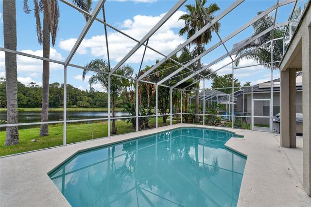 19128 MEADOW PINE DRIVE, Tampa, FL 33647