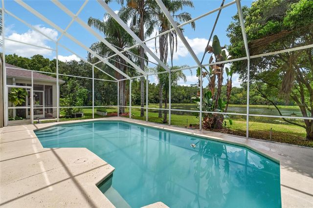 19128 MEADOW PINE DRIVE, Tampa, FL 33647