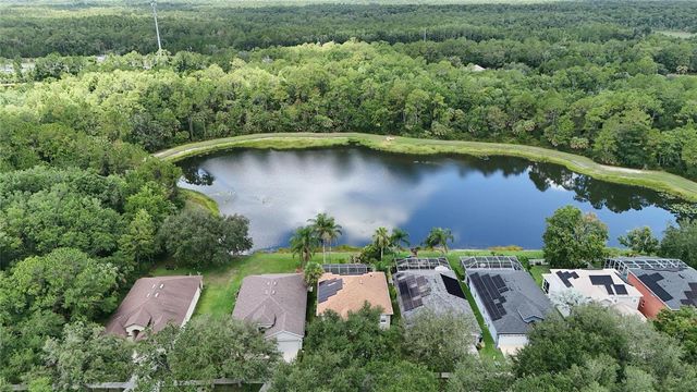 19128 MEADOW PINE DRIVE, Tampa, FL 33647
