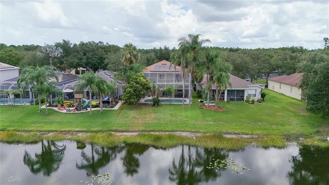 19128 MEADOW PINE DRIVE, Tampa, FL 33647