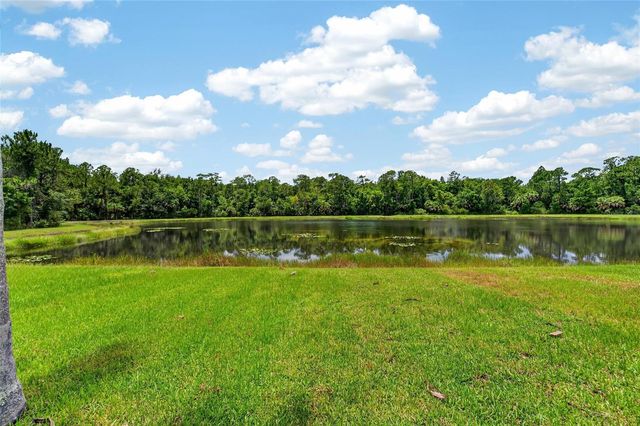 19128 MEADOW PINE DRIVE, Tampa, FL 33647