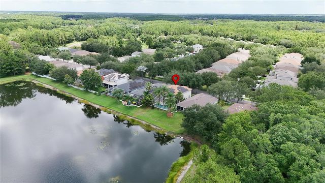 19128 MEADOW PINE DRIVE, Tampa, FL 33647