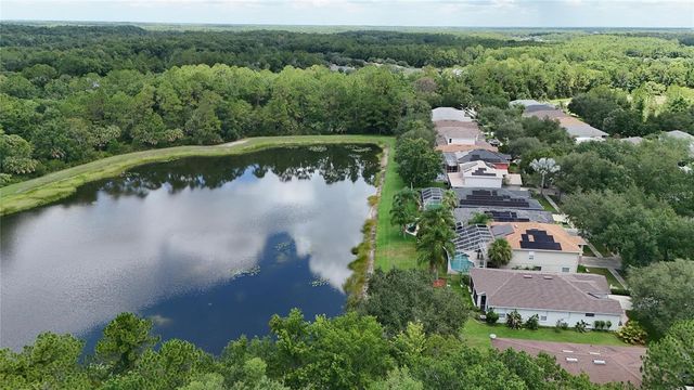 19128 MEADOW PINE DRIVE, Tampa, FL 33647