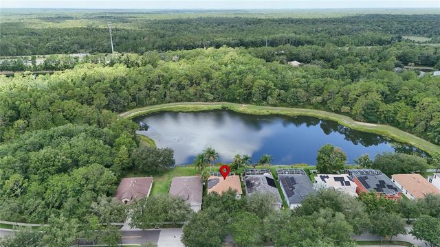 19128 MEADOW PINE DRIVE, Tampa, FL 33647