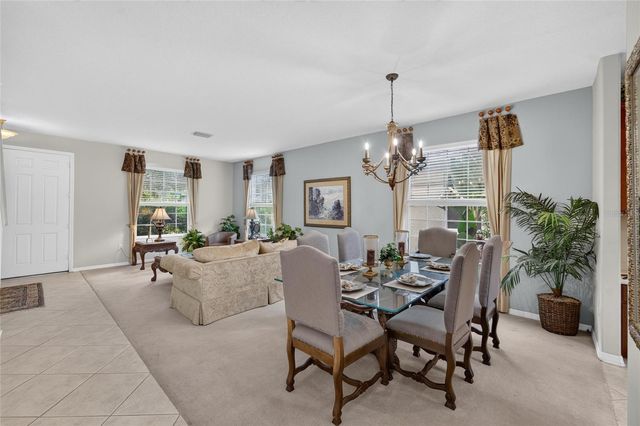 19128 MEADOW PINE DRIVE, Tampa, FL 33647