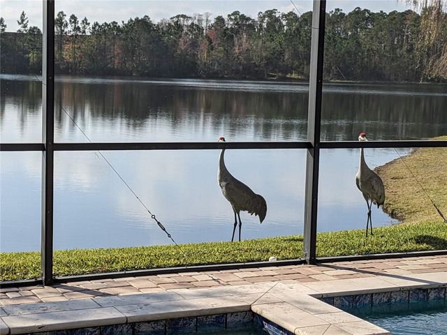 9958 OAK QUARRY DRIVE, Orlando, FL 32832