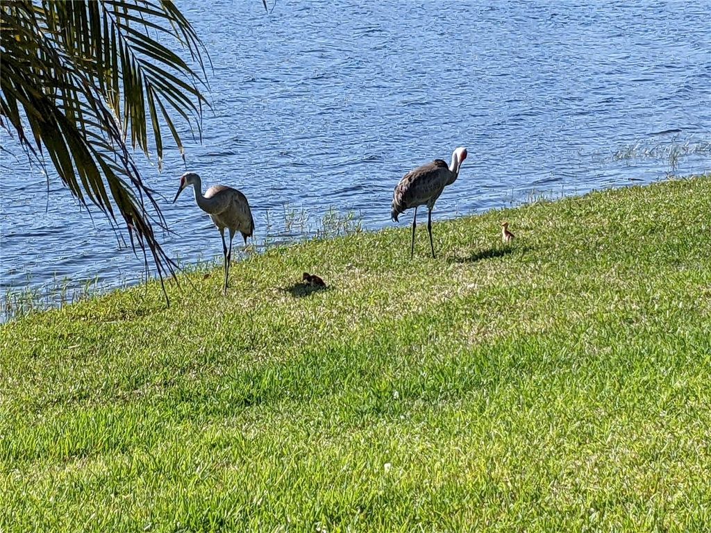 Image 52 of property listing at 9958 OAK QUARRY DRIVE, Orlando, FL 32832