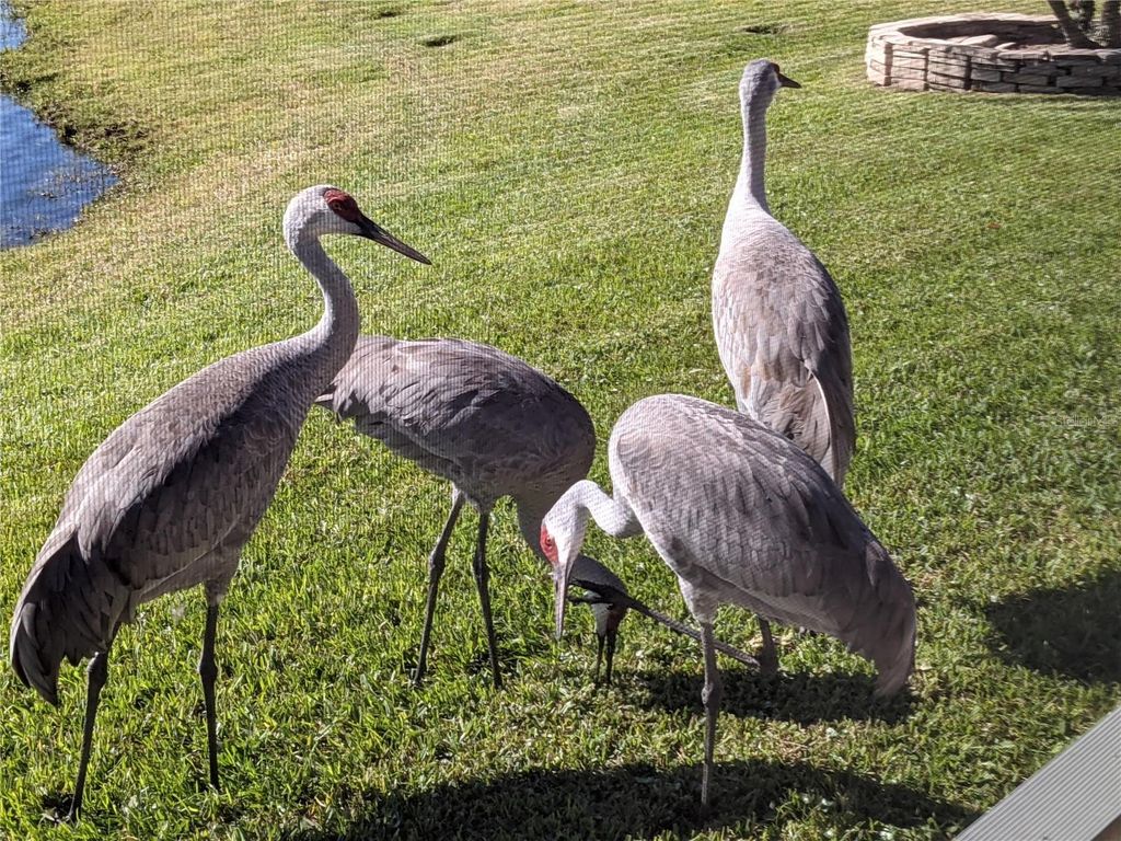 Image 53 of property listing at 9958 OAK QUARRY DRIVE, Orlando, FL 32832