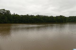 Lot 9 PENINSULA DRIVE, Wedowee, AL 36278