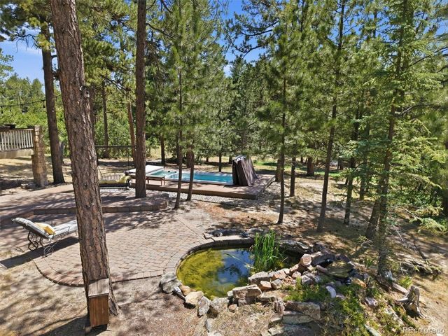 1614 Gore Drive, Larkspur, CO 80118