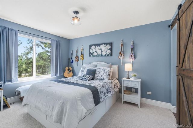 1614 Gore Drive, Larkspur, CO 80118