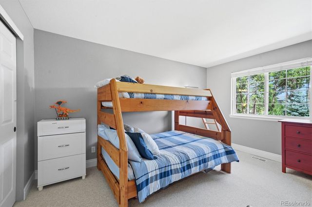 1614 Gore Drive, Larkspur, CO 80118