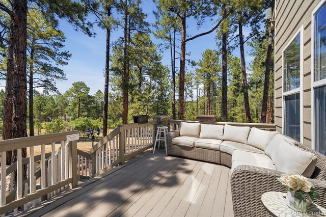 1614 Gore Drive, Larkspur, CO 80118