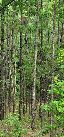 0 Cottage Hill Road, Mobile, AL 36695