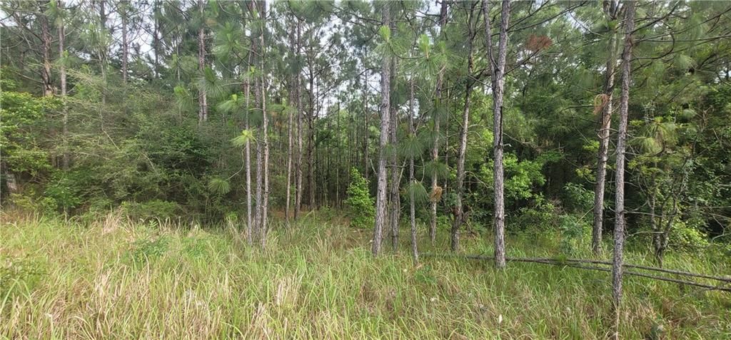 0 Cottage Hill Road, Mobile, AL 36695