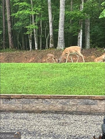 206 Hedden Road, Murphy, NC 28906