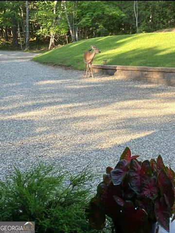 206 Hedden Road, Murphy, NC 28906