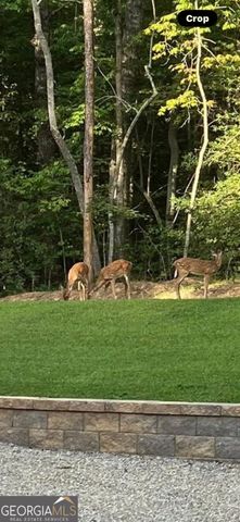 206 Hedden Road, Murphy, NC 28906
