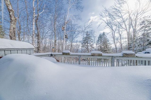 20 Blackberry Lane, Peru, VT 05152