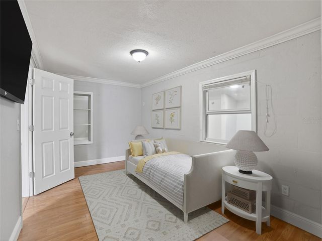 10119 N ASHLEY STREET, Tampa, FL 33612