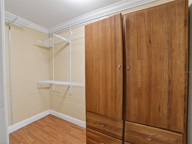 10119 N ASHLEY STREET, Tampa, FL 33612