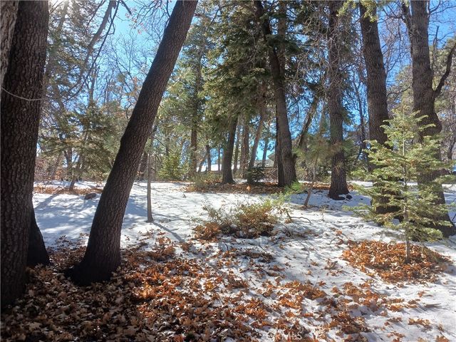 0 Columbine Drive, Big Bear City, CA 92314