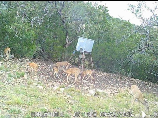 00 Black Waterhole Ranch, Rocksprings, TX 78880