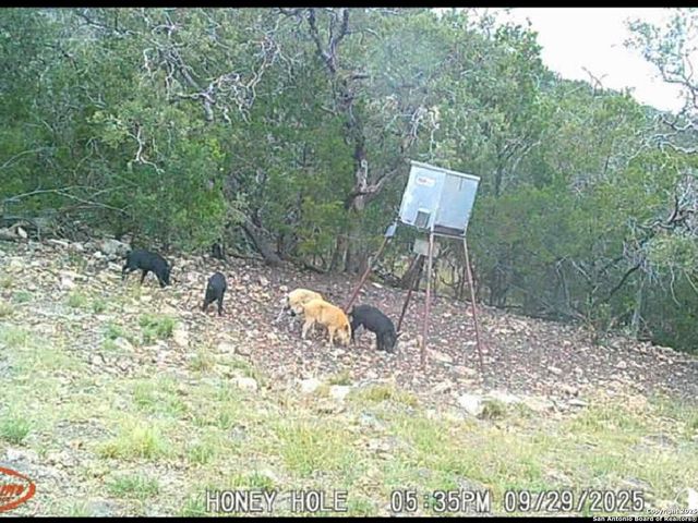 00 Black Waterhole Ranch, Rocksprings, TX 78880