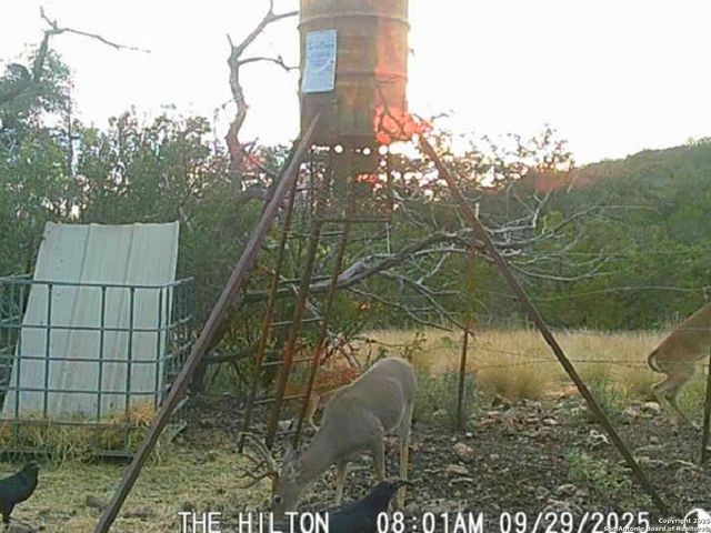 00 Black Waterhole Ranch, Rocksprings, TX 78880