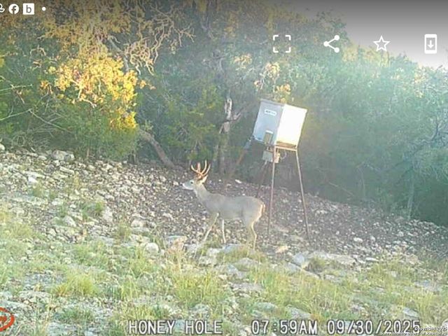 00 Black Waterhole Ranch, Rocksprings, TX 78880