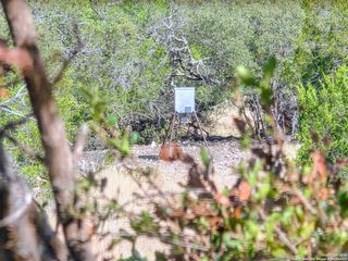 00 Black Waterhole Ranch, Rocksprings, TX 78880