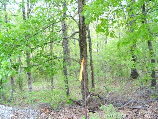 Kelsey Drive, Park Hill, OK 74451