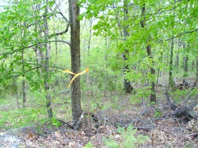 Kelsey Drive, Park Hill, OK 74451