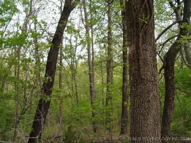 Kelsey Drive, Park Hill, OK 74451