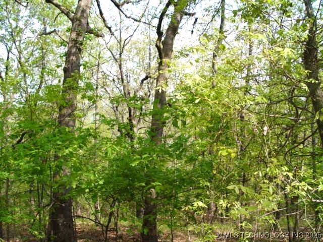 Kelsey Drive, Park Hill, OK 74451