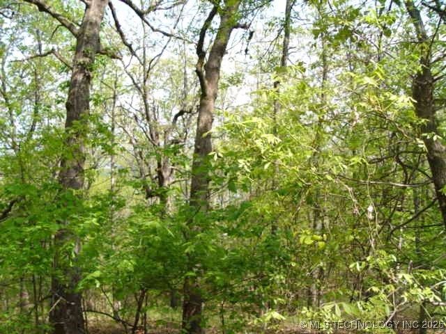 Kelsey Drive, Park Hill, OK 74451