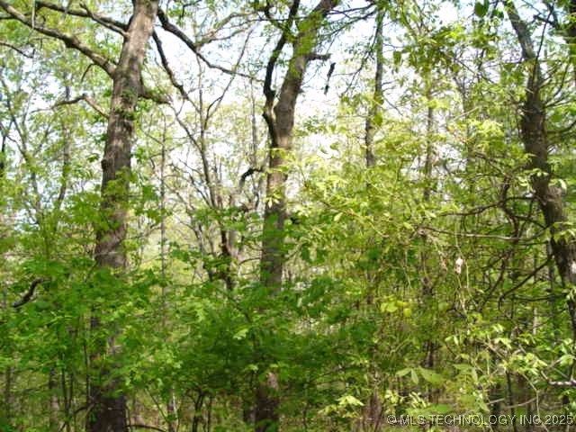 Kelsey Drive, Park Hill, OK 74451