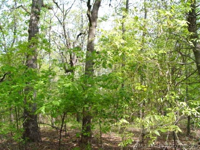 Kelsey Drive, Park Hill, OK 74451