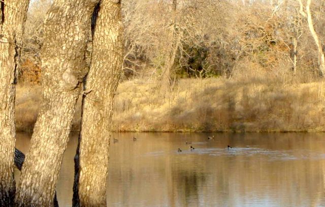 58+ ac. CR 102 Road, Axtell, TX 76673