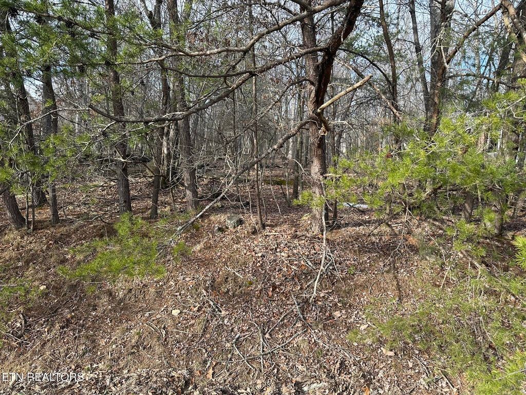 121 Motthaven Drive, Fairfield Glade, TN 38558
